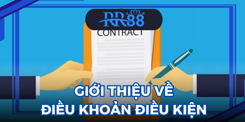 điều khoản điều kiện