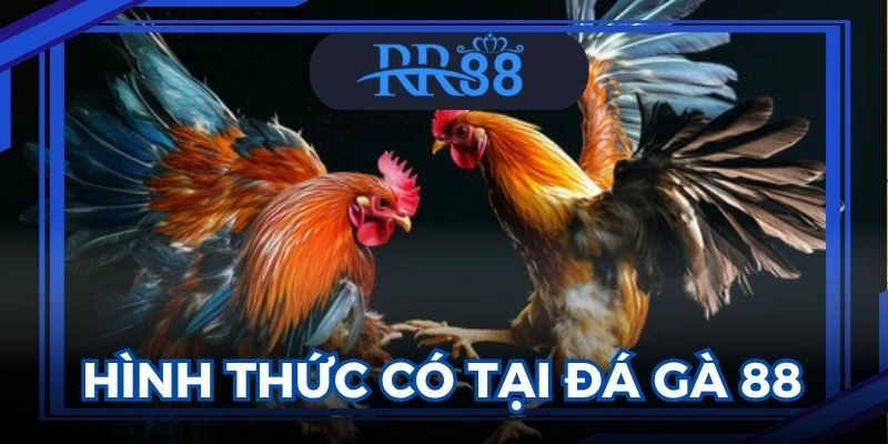 Đá gà 88