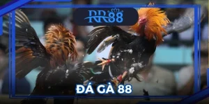 Đá Gà 88