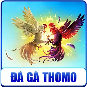 Đá gà