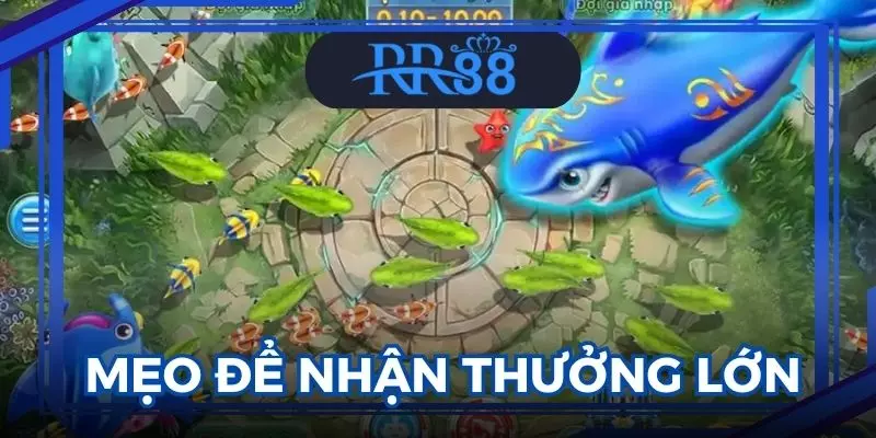 Bắn cá xèng