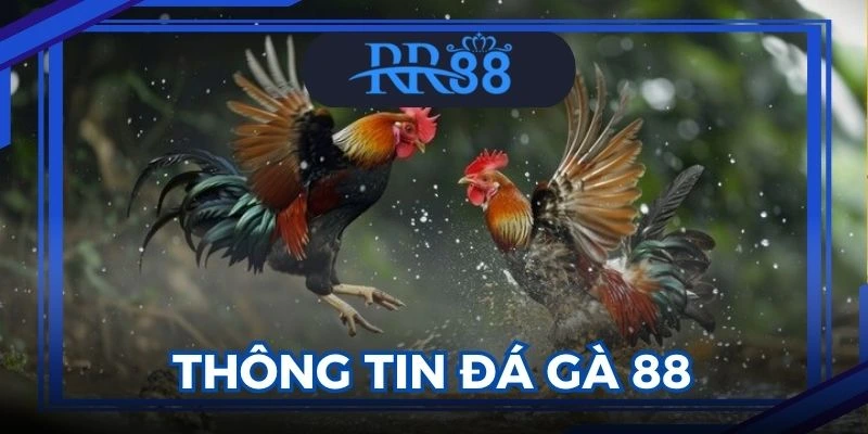 Đá gà 88