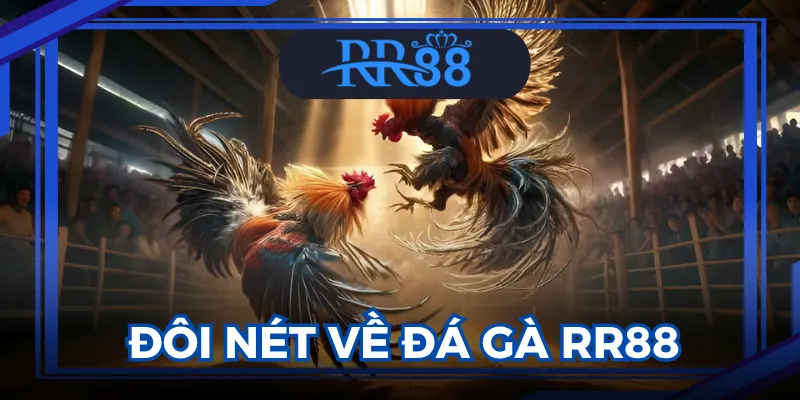 đá gà