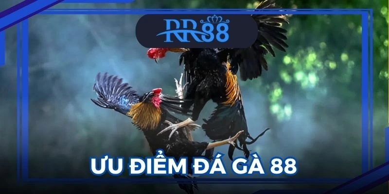 Đá gà 88